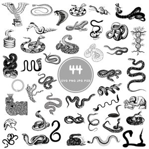 Snake Design SVG, 44 reptielen Svg-bestanden, PNG, PSD