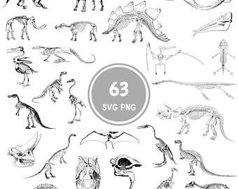 63 Prehistoric Dinosaur Skeleton SVGs and PNGs Bundle