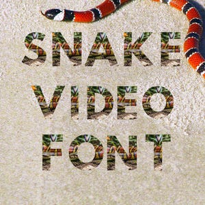 May include: A vibrant image featuring the text "SNAKE VIDEO FONT" with a snake pattern. A red, black, and white snake is positioned at the top. The text is filled with a snake pattern, creating a unique visual effect.