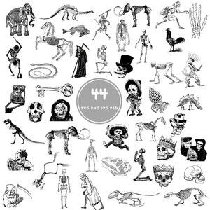 May include: A collection of black and white illustrations featuring skeletons of various animals, humans, and mythical figures. The images include a dinosaur, horse, elephant, and a grim reaper. The number "44" is in a circle with "SVG PNG JPG PSD" below it.