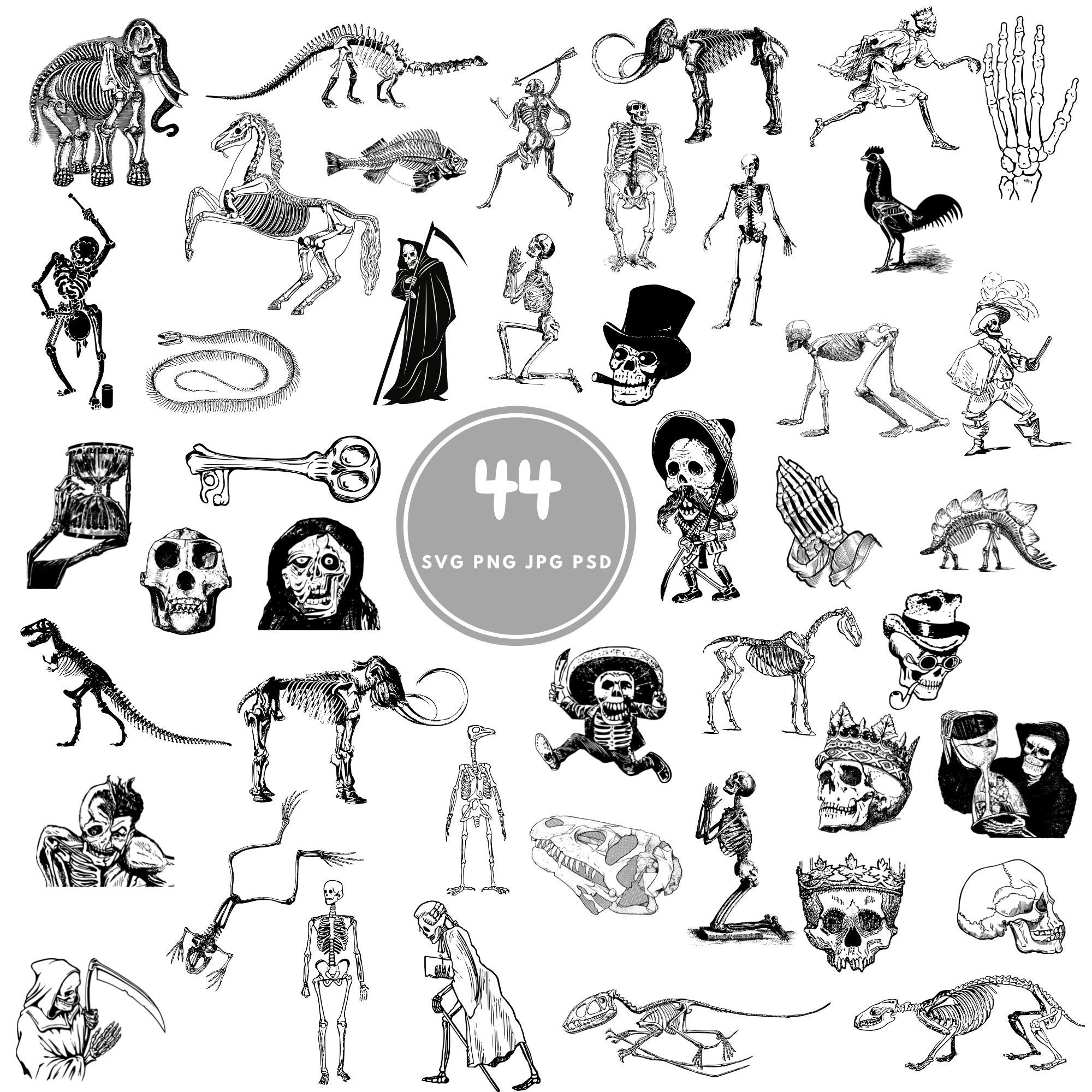 Skeleton SVG, 44 Skull and Bones Svg Bundle, PNG, PSD - Etsy