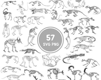 Animal Skeleton SVG Bundle - 57 Animal Bones Designs - Cricut, Silhouette - PNG & PSD