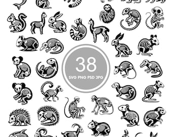 Cute animal skeleton Design SVG, 38 animal svg Bundle, PNG, PSD