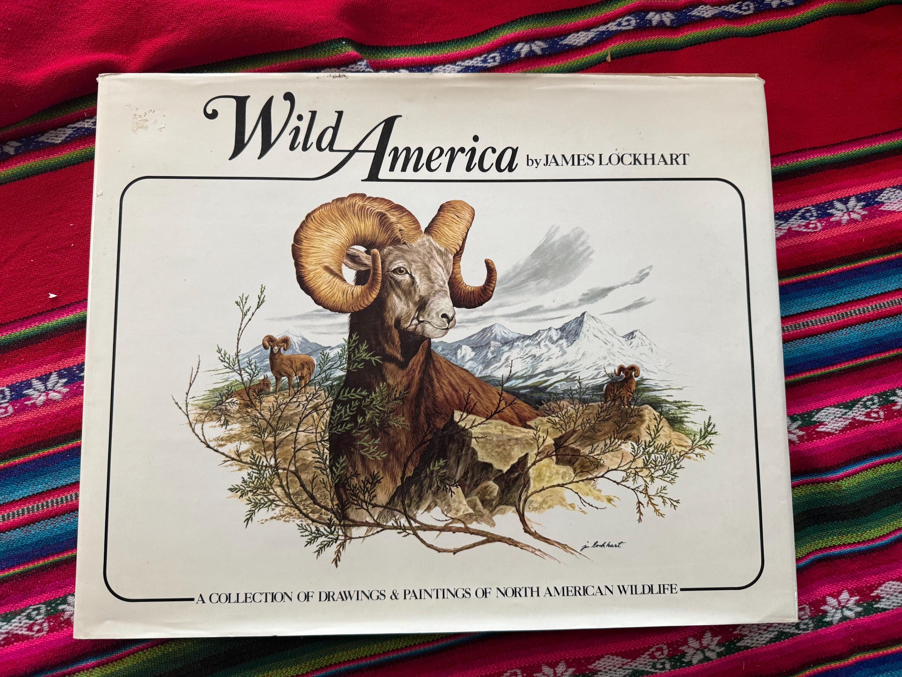 RARE VINTAGE Wild American by James Lockhart 1986 Edition - Etsy
