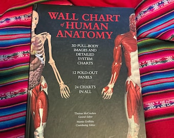 RARE VINTAGE Wall Chart of Human Anatomy 2001 Edition HC
