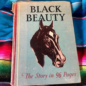 Rare Vintage Black Beauty The Story in 96 Pages - by Anna Sewell 1934