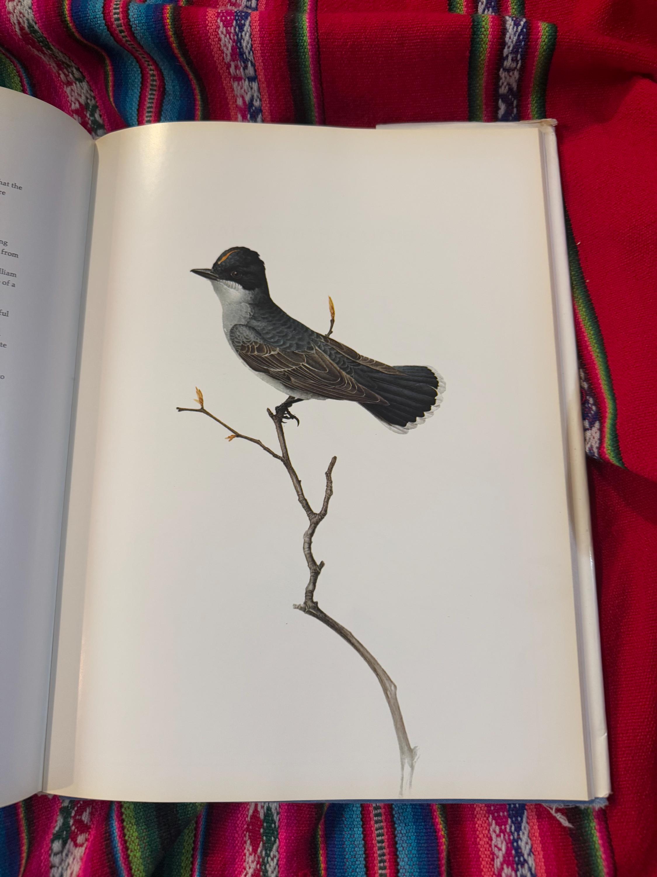 RARE VINTAGE Birds of the Eastern Forest:1 J.F. Landsowne John A