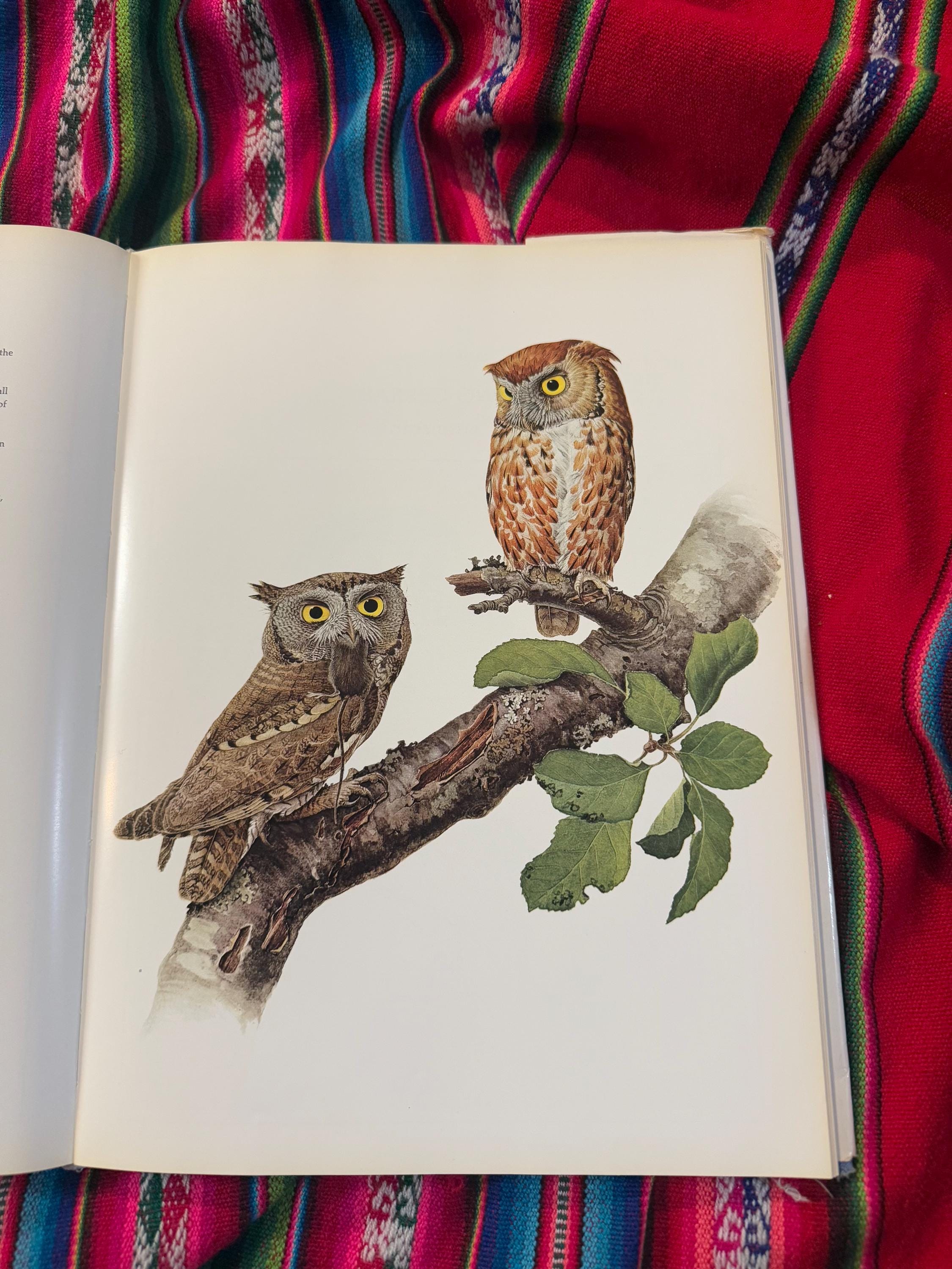 RARE VINTAGE Birds of the Eastern Forest:1 J.F. Landsowne John A