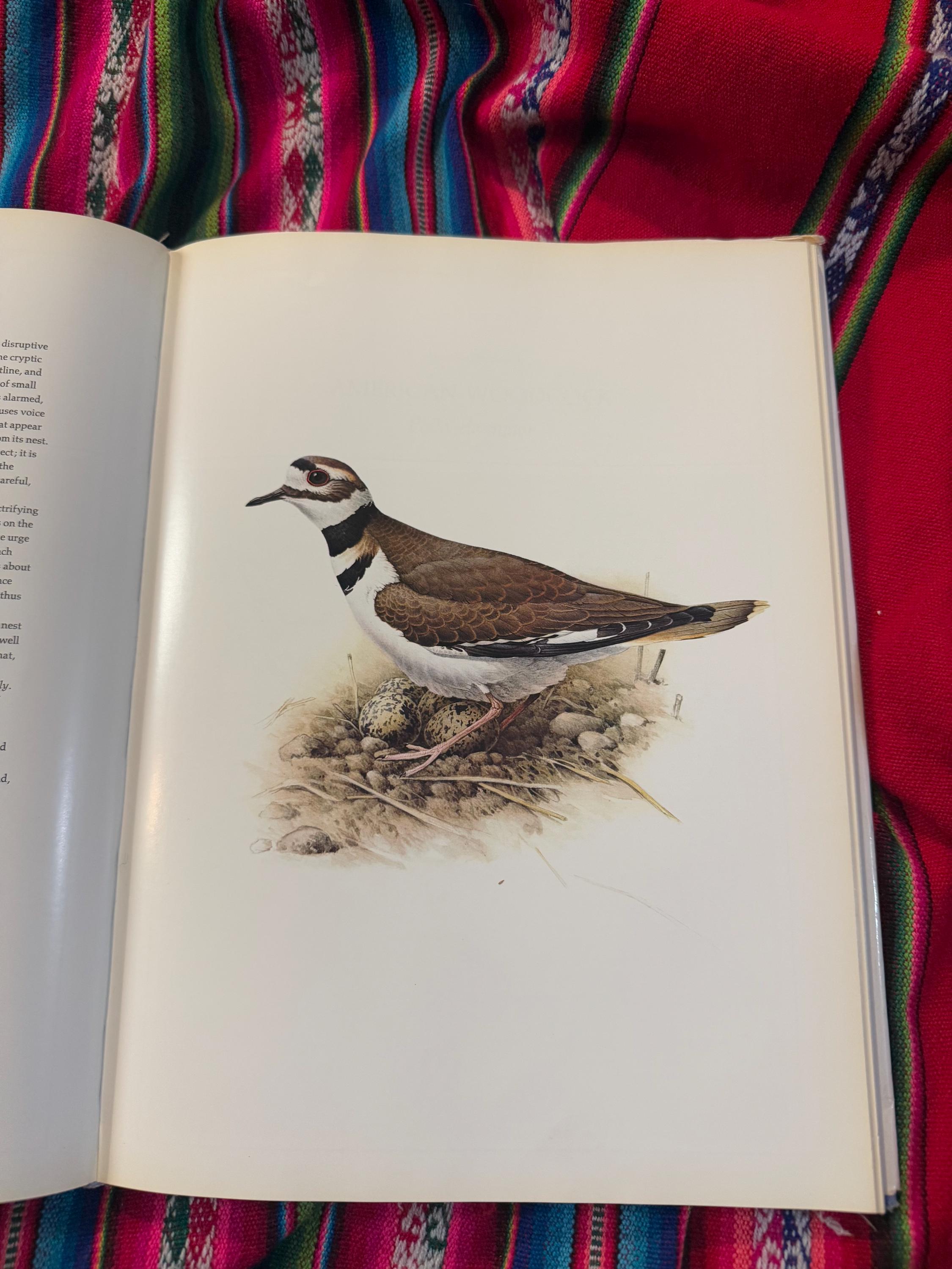 RARE VINTAGE Birds of the Eastern Forest:1 J.F. Landsowne John A