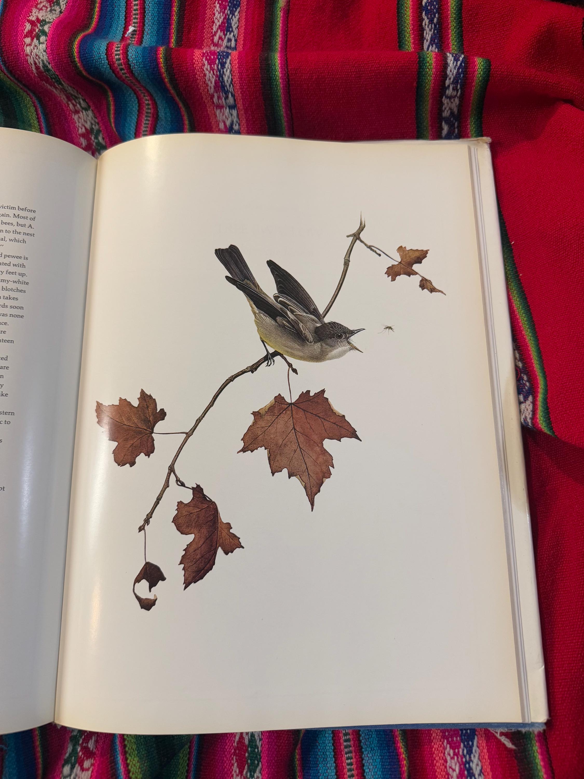 Lansdowne's Birds of the Forest　鳥の図鑑　洋書 Lansdowne's Birds of the Forest 鳥の図鑑 洋書 Lansdowne's Birds of