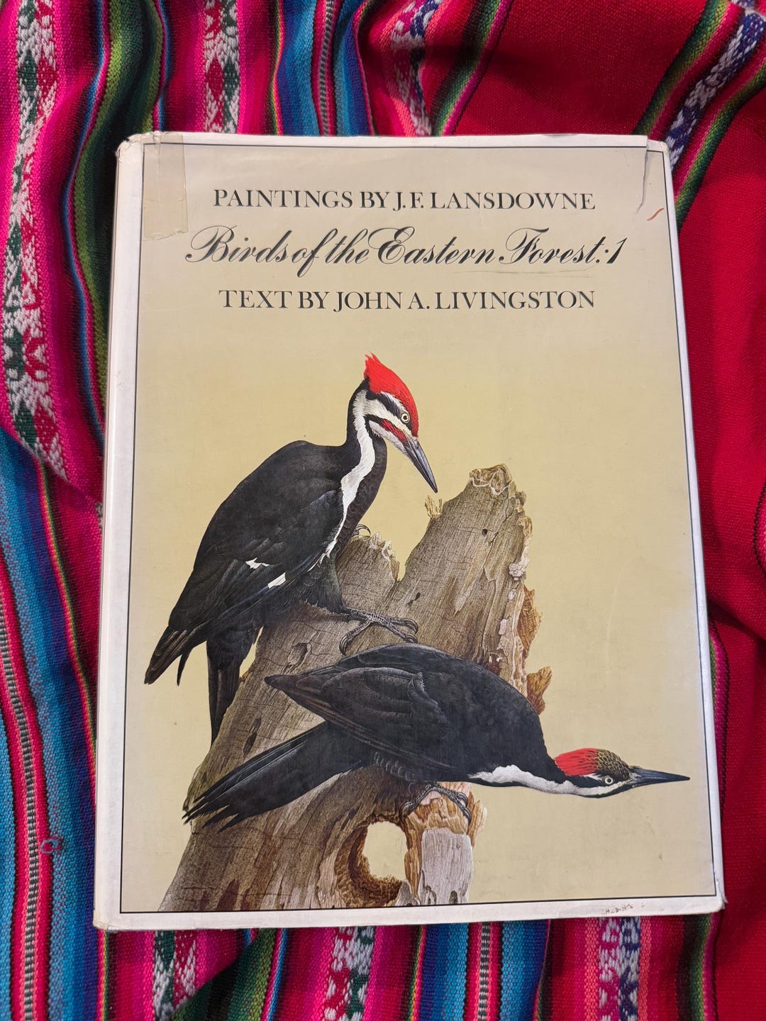 RARE VINTAGE Birds of the Eastern Forest:1 J.F. Landsowne John A