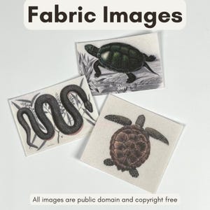 May include: Three fabric images featuring vintage illustrations of a snake, a turtle, and a sea turtle. The snake is black, the turtles are green and brown. The text "Fabric Images" is at the top. The text "All images are public domain and copyright free" is at the bottom.
