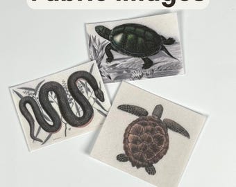 Reptiles and Amphibians: Fabric Images Pocket Altar DIY Supplies