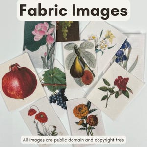 Puede incluir: Una colección de imágenes de tela con ilustraciones botánicas de flores, frutas y follaje. Las imágenes incluyen una granada, higos, uvas, rosas y amapolas. También está presente el texto "Fabric Images" y "All images are public domain and copyright free".