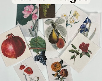 Fabric Plant Image: DIY Pocket Altar Supplies - Botanical Applique