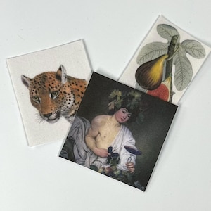 Puede incluir: Tres posavasos cuadrados con diferentes imágenes. Uno presenta la cara de un jaguar, otro una pintura clásica de una persona con uvas, y el tercero muestra un higo y hojas de higuera.