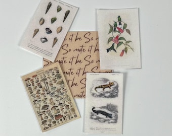 Elemental, Manifestation, or Spell Work Fabric Images Kit for Pocket Altars