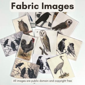 May include: Fabric images featuring various bird illustrations, including owls, crows, and a rooster. The images are printed on fabric squares. The text "Fabric Images" is at the top, and the text "All images are public domain and copyright free" is at the bottom.