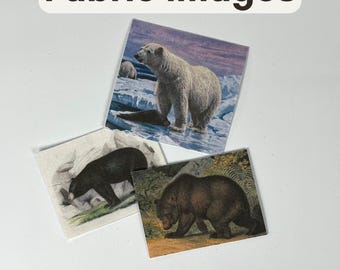 Bears: Fabric Images Pocket Altar DIY Supplies