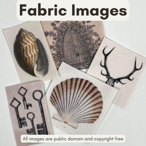 May include: Fabric images featuring vintage illustrations. Includes a seashell, a beehive, deer antlers, keys, and a scallop shell. The text at the top says "Fabric Images" and the text at the bottom says "All images are public domain and copyright free."