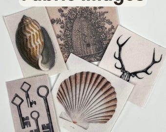 Inanimate Objects: Fabric Images Pocket Altar DIY Supplies (Bee Skep, Keys, Shells, Stag Skull)