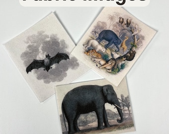 Miscellaneous Animals: Fabric Images Pocket Altar DIY Kit