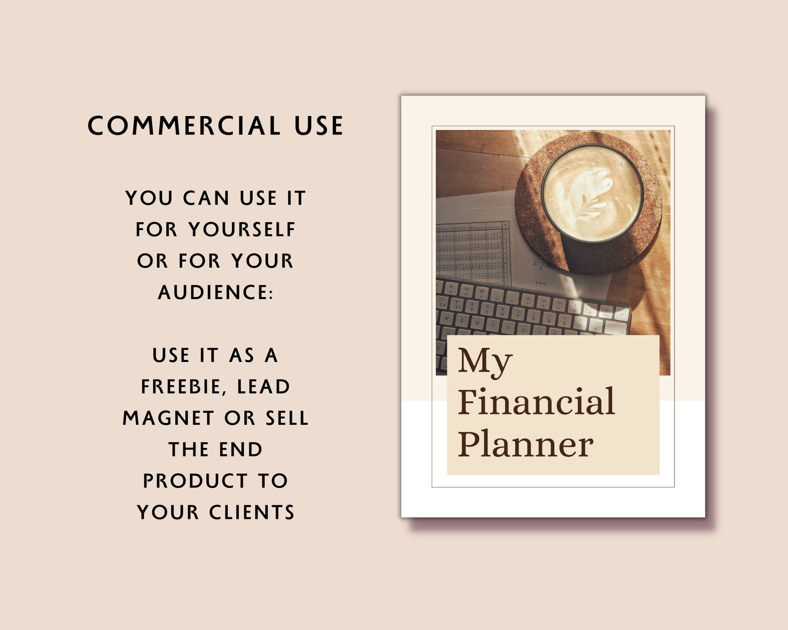 Financial Planner Printable, iPad Financial Planner, Digital Financial