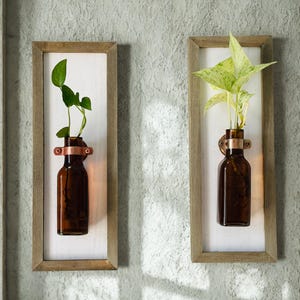 Wall Frame Propagation Station |  Wood Frame Propagation Station With Amber Bottle and a Plant | Wall Decor | Propagation | Free Shipping |