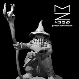 Male Dwarf Wizard Miniature - mz4250 - Mage Sorcerer Warlock Spellcaster D&D Dungeons and Dragons Pathfinder Fantasy Tabletop Mini 28mm 1&quot;