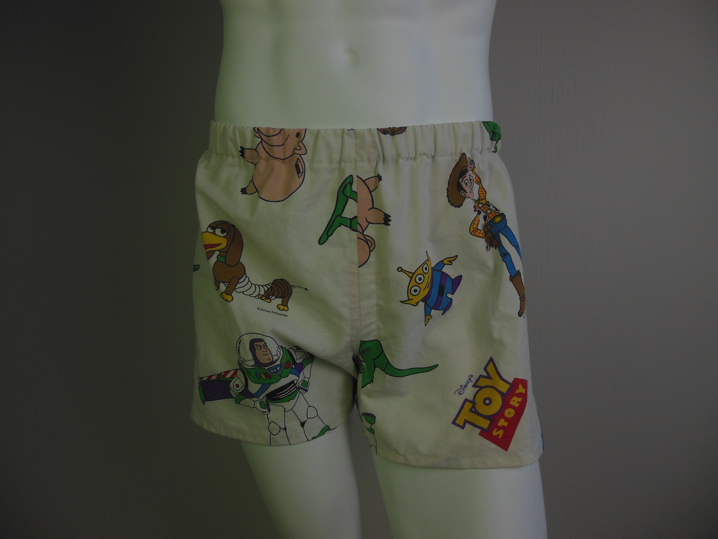 Toy Story Underwear -  UK