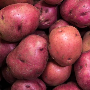 May include: A close-up of a pile of red potatoes. The potatoes are smooth and have a slightly rough texture.