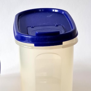 Puede incluir: Contenedor de almacenamiento de alimentos rectangular transparente con tapa azul oscuro. El contenedor tiene forma redondeada y tapa a presión. Fabricado en plástico translúcido.