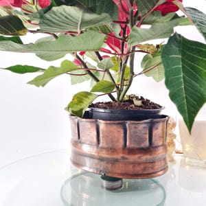 Puede incluir: Una planta de flor de Pascua con brácteas rojas vibrantes y hojas verdes en una maceta de color cobre. La maceta tiene un diseño texturizado único y descansa sobre una base de vidrio transparente.