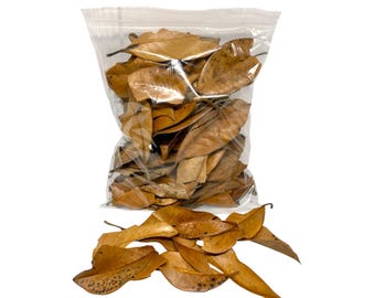 Perfectly Imperfect Southern Magnolia Leaf Litter (Gallon Bag) - Bioactive / Isopod / Aquarium & Terrarium Decor
