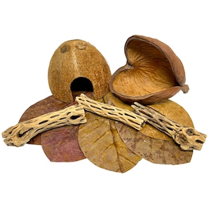 May include: A collection of naturalistic terrarium decorations. The image features a coconut shell hideaway, dried leaves, cholla wood pieces, and a large seed pod. The items are in shades of brown and tan, suitable for reptile or small animal habitats.
