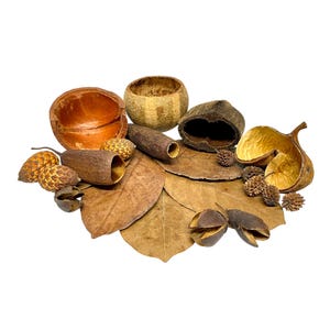 May include: An assortment of natural decorative elements, including dried leaves, seed pods, and hollowed-out gourds in shades of brown and tan. The arrangement features various textures and shapes, perfect for crafting or home decor.