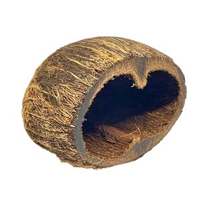 May include: A half-section of a coconut shell, showcasing the natural brown fibers and dark interior. The shell's outer surface is textured, with a rough, fibrous appearance. The inner cavity is smooth and dark, creating a contrast.