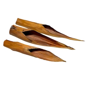 May include: Three dried, elongated, brown palm leaves are arranged diagonally against a white background. Each leaf has a hollowed-out interior, revealing a darker brown color. The leaves have a natural, organic appearance.