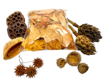 Paquete variado de elementos esenciales para isópodos: isópodos, productos botánicos, hojarasca, bioactivos y alimento para isópodos.