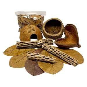 May include: A collection of natural reptile habitat decor. Includes dried leaves, a coconut hide, cholla wood, and a seed pod. The items are various shades of brown and tan, perfect for creating a naturalistic terrarium environment.