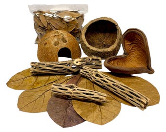 10 Piece Set | Hermit Crab Food