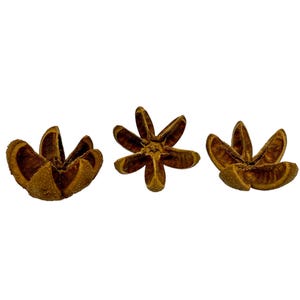 May include: Three dried star anise pods, each with a star-like shape, are displayed against a white background. The pods are a warm brown color with a textured surface, showcasing the natural beauty of the spice.