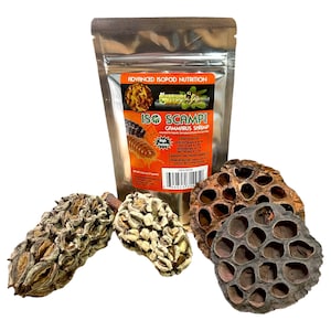 Iso Scampi Isopod Enrichment Kit - Isopod Food Bioactive Botanicals Isopods