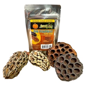 Iso Pumpkino Isopod Enrichment Kit - Isopod Food Bioactive Botanicals Isopods