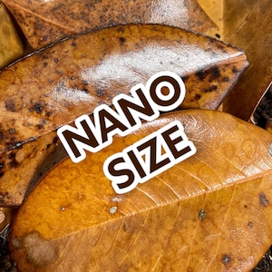Bulk aquarium clearance gravel
