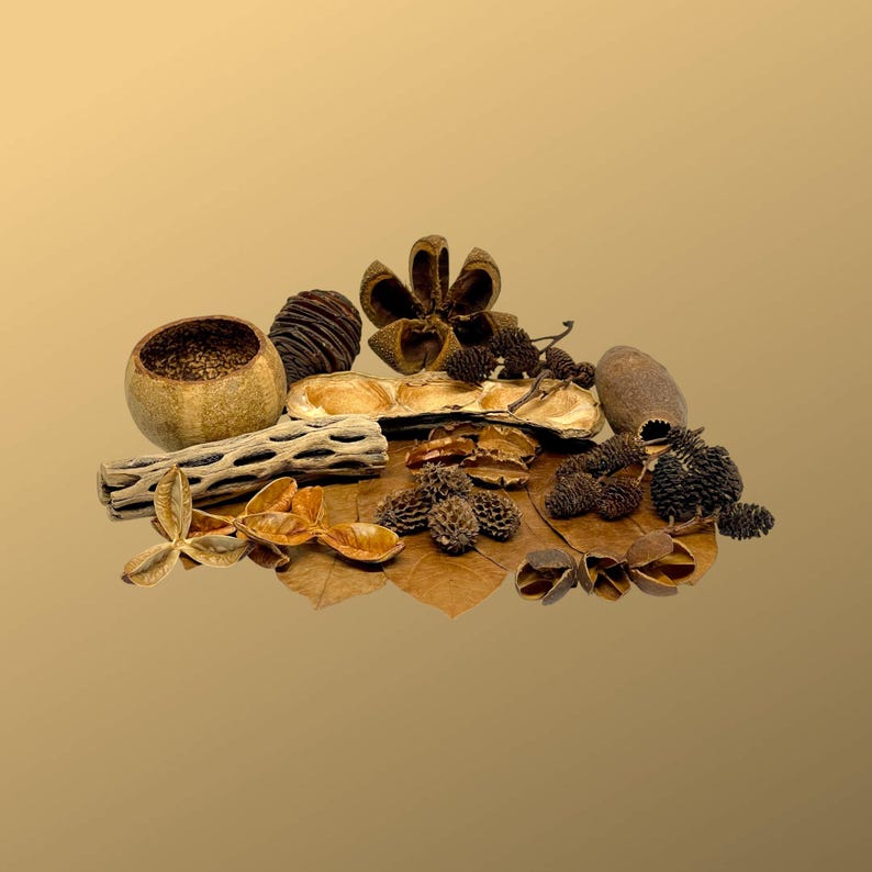 Botanical Gems Variety Pack - Aquascape / Bioactive / Botanicals ...