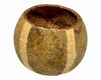 Banded Bell Cups - Bael Pod / Botanicals / Aquarium Decor /Terrariums / Bioactive / Crafts / Natural