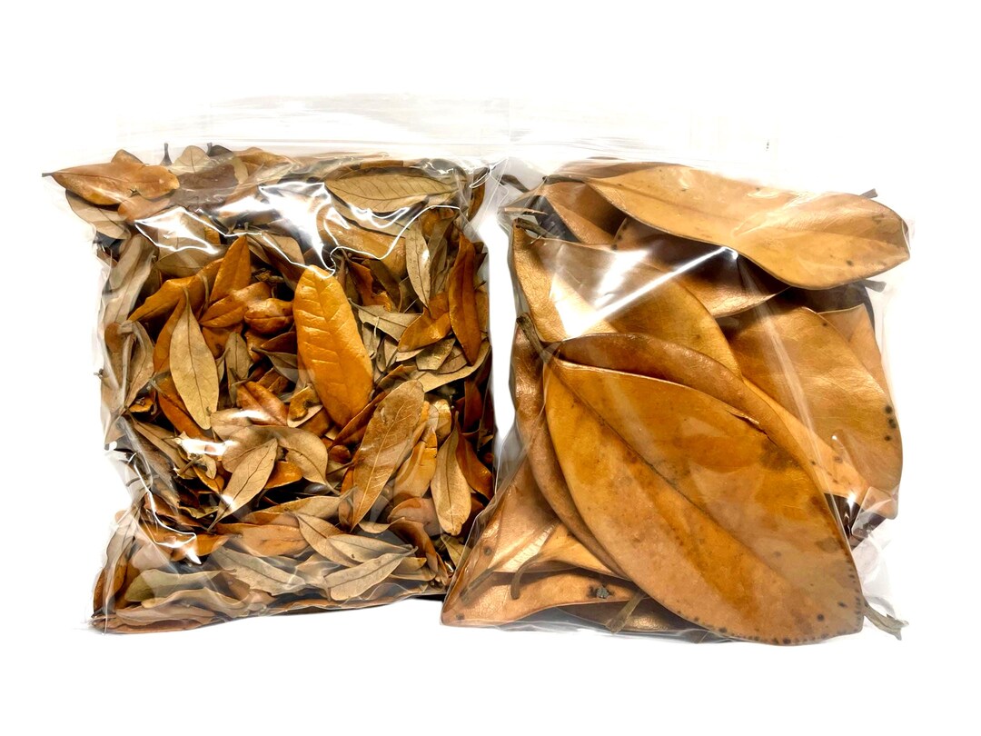 View of Leaf Litter Combo Pack - Botanicals / Terrarium / Aquarium Decor ...