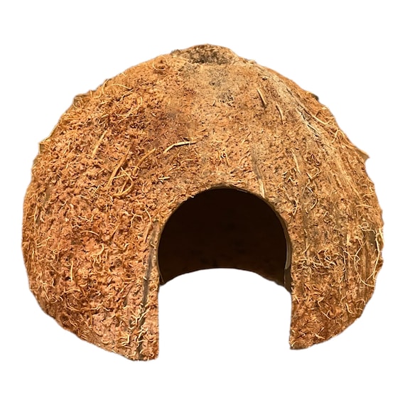 Coconut Hut Dart Frog Reptiles Terrarium Vivarium Decor