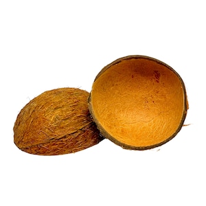 May include: Two halves of a brown coconut shell, one whole coconut, and one split open. The interior of the split shell is a lighter brown color. The exterior of the coconut is a rough, textured surface.